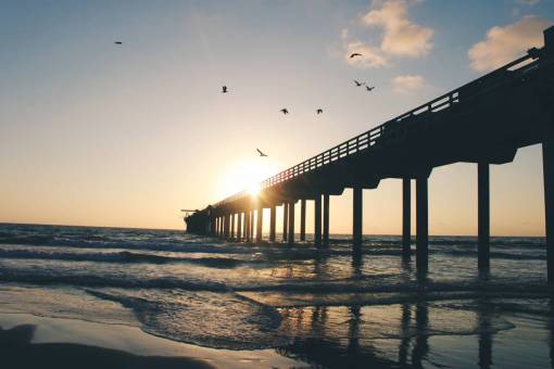 aves puesta de sol anochecer cielo nubes pájaros animales muelle