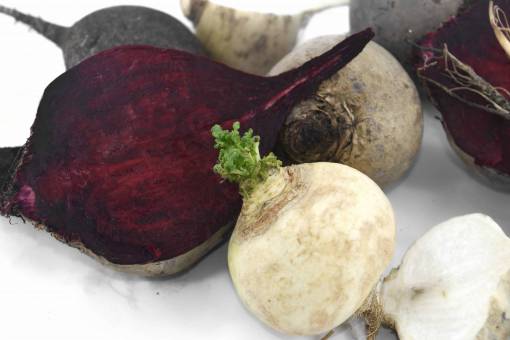 crossing cross section radish beetroot antioxidant root meal vegan antibacterial vegetarian vegetables