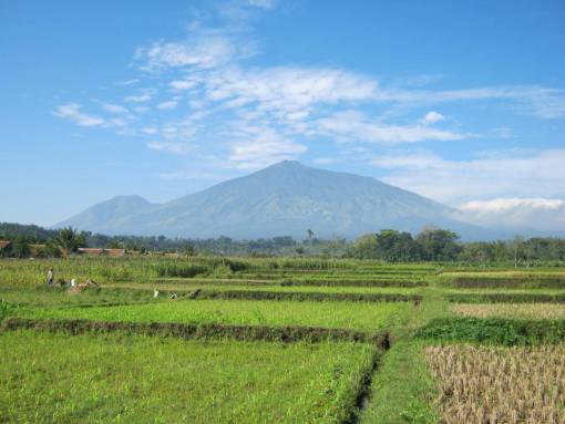 18-20-years field mountain agriculture rice peak countryside villager village cloud 