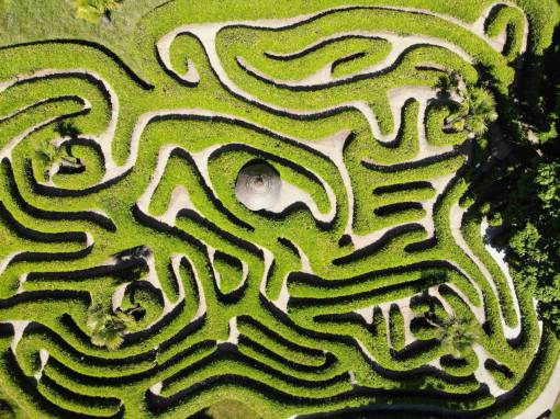 making-a-face General view of a maze