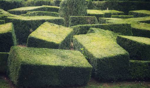 making-a-face General view of a maze
