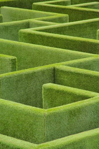 making-a-face General view of a maze