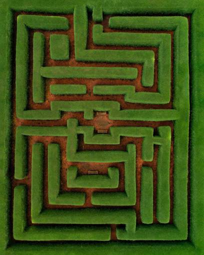 making-a-face General view of a maze