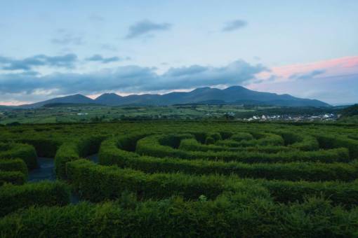 making-a-face General view of a maze