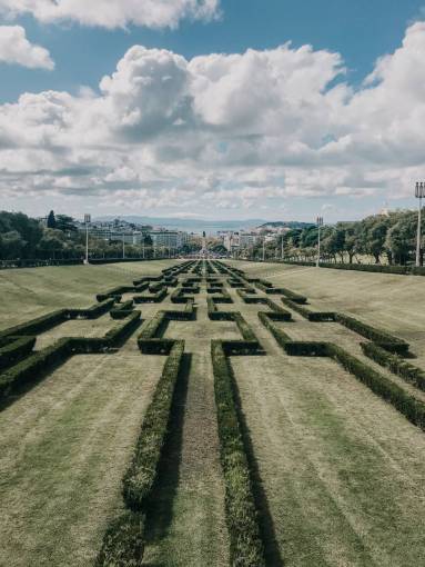 making-a-face General view of a maze