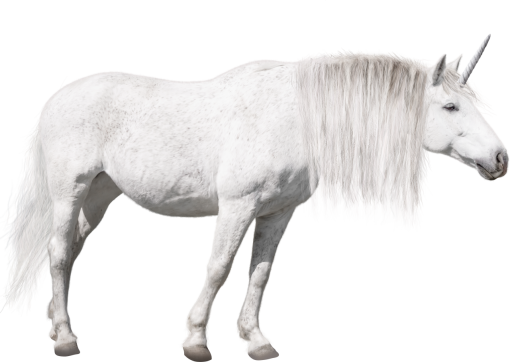 unicorn  farm mammal animal unicorn horse png overlay