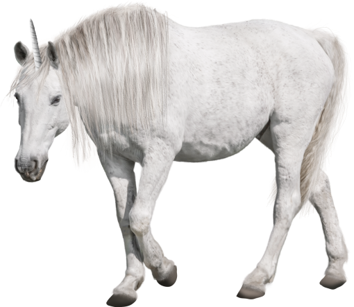 unicorn  farm unicorn animal overlay mammal png horse