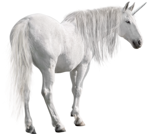 unicorn  mammal overlay stallion unicorn png horse animal