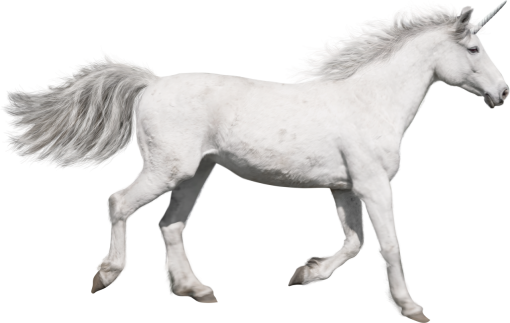 unicorn  overlay unicorn png animal mammal stallion horse