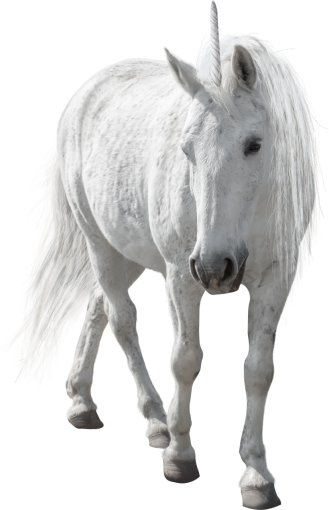 unicorn  overlay unicorn stallion animal png horse mammal