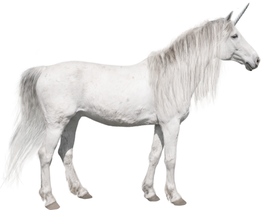 unicorn  stallion unicorn animal farm horse png overlay