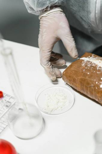 conceptos Narcotráfico, laboratorio de cocaína.