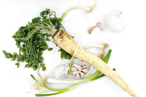 garlic garlic wild leek salad onion parsley vegetable root produce meal  vegetables