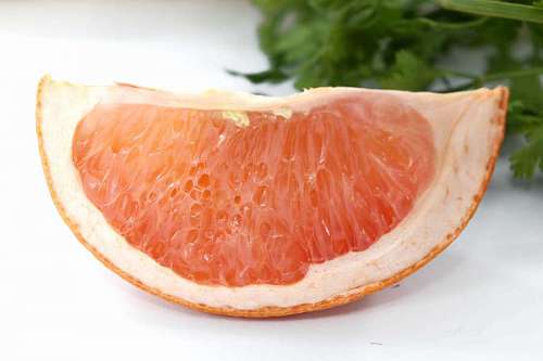 grapefruit grapefruit bitter citrus fruit slice side vitamin fresh healthy grapefruitkernextrakt  nagelpilz gegen