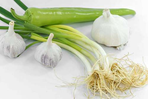 garlic onion garlic leek wild vegetable pepper spice oignon ingredients organic sauvage  poireau legume ail