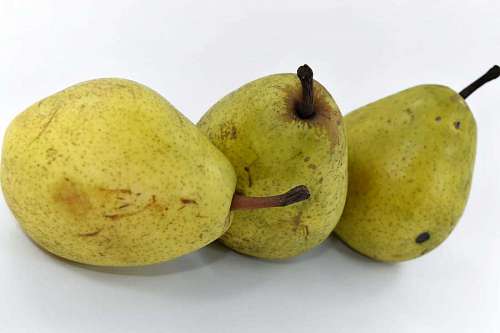 yellowish-gray-plumage-on-the-upper-part-and-white-on-the-bottom-with-a-dark-side-of-the-neck-every-stain pears yellowish agriculture produce organic brown nutrition fruit healthy health
