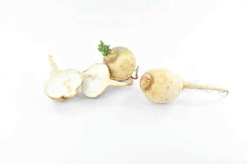 root vegetable radish nutrition flora leaf cooking nature cucumber diet vegetables  section cross close