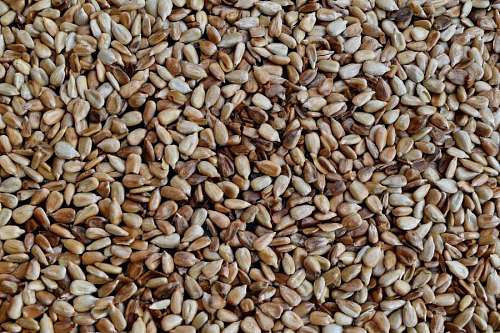 kernels seed sunflower nutrition kernel dry brown batch ingredients diet