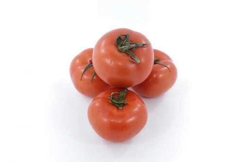 tomatoes agriculture produce vegetable health tomato vegetarian organic fresh healthy 