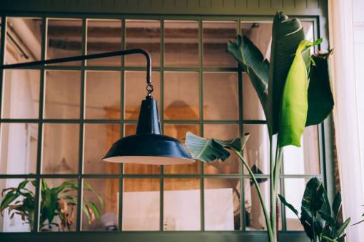 banana-dish-fruit banana  tree  plant  office  room  lamp  window
