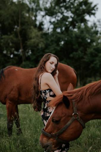 brown  horse  animal  pet  herd  green  grass