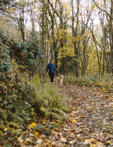 dog  walking  hiking  woman  trek  nature  outdoors