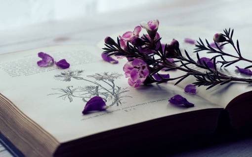 floral flores libros libros antiguos vintage lectura naturaleza cera flores