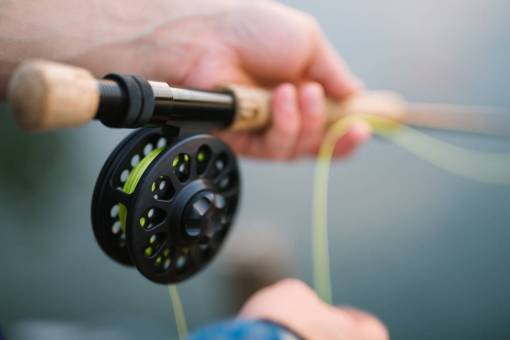 pesca pesca con mosca, desenfoque, al aire libre, mano