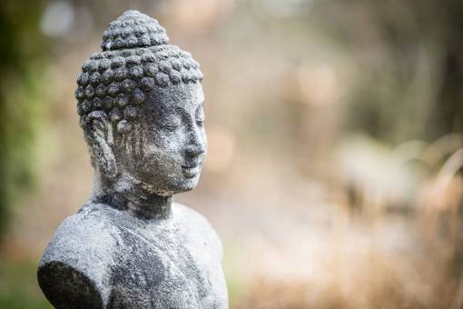 buddha gautama  buddha  figure  statue  blur
