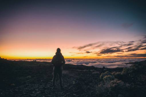 contemplation girl  woman  people  back  contemplate  travel  sunset