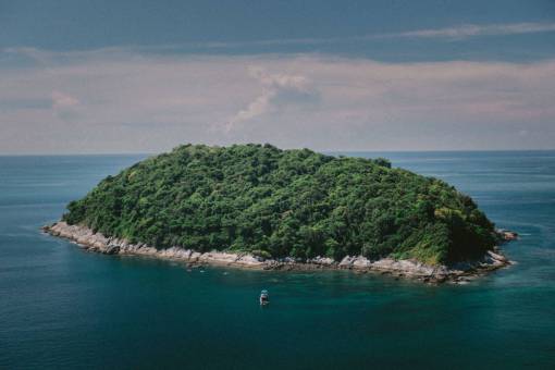 green  trees  plant  nature  forest  island  sea