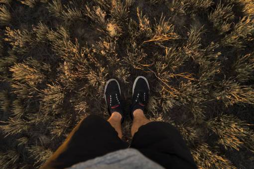 sneakers guy  man  male  people  feet  legs  shoes