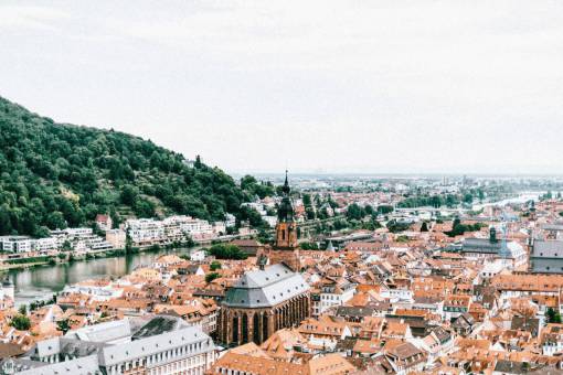 alone Heidelberg  Germany  city  town  rooftops  buildings  architecture