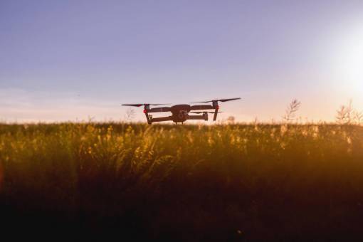 wheat large  drone  sunset  field  sun  farm  wheat