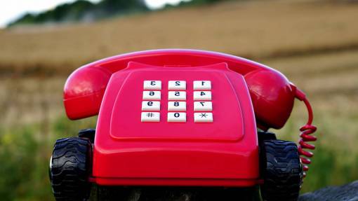 telephone nature  grass  green  red  telephone  vintage
