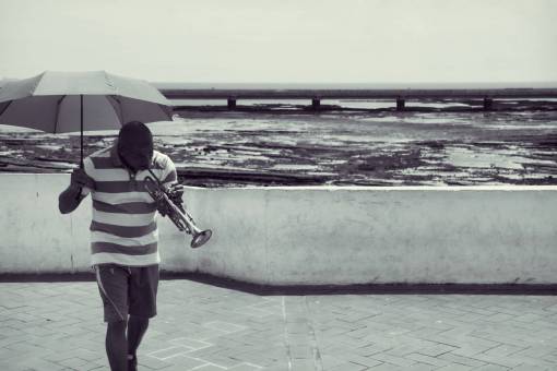 shorts Panama  guy  man  people  trumpet  musician  music