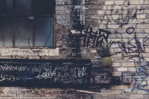 crop-plant pineapple  dessert  appetizer  fruit  juice  crop  wall
