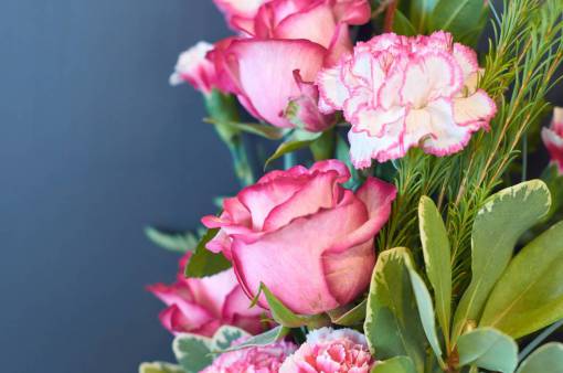 bonita rosas rosadas macro flores frescas florecen floreciendo