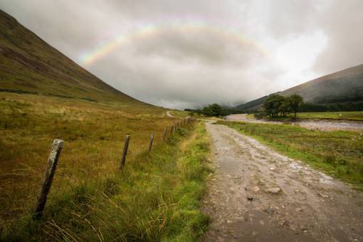 grassland road  path  green  grass  nature  highland  grassland