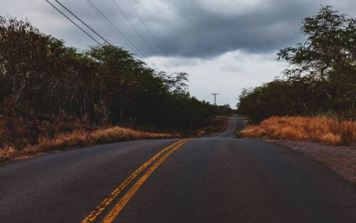 asphalt road  travel  asphalt  grass  outdoor  trees  plant