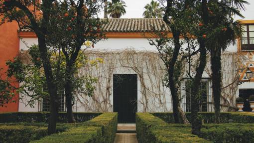 video Sevilla España casa arbustos árboles naranjas vides