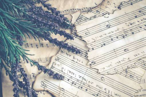 sheet-music sheet music  vintage  lavender  plant  herb  nature  music