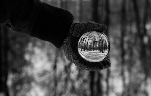 globe-navigational-equipment snow  winter  white  cold  weather  ice  trees