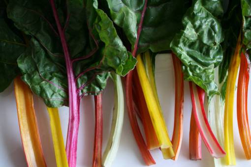 suizos vegetales hojas comida acelga remolacha arcoiris saludable