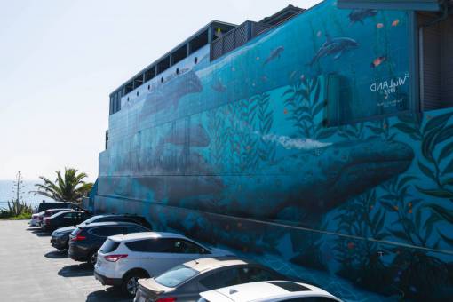 laguna ballenas pintura mural ilustración costa california laguna beach