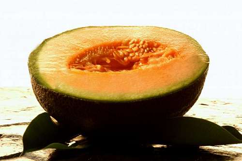 Primer plano de un Melon Fresco