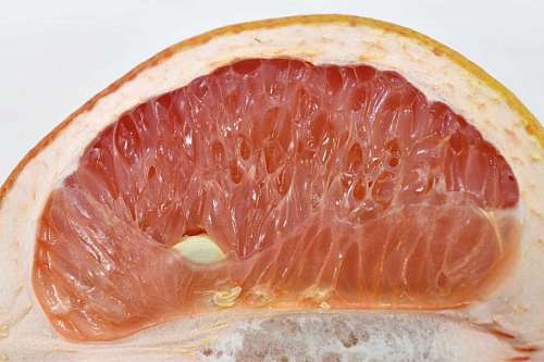 grapefruit bitter slices grapefruit exotic slice citrus tasty fruit kb