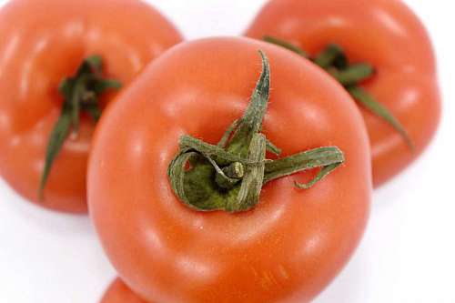 antioxidant carbohydrate antioxidant tomato vegetable diet tomatoes produce farming nutrition delicious