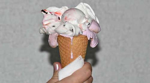 crema helado cucurucho frío verano mano al aire libre chocolate dulce