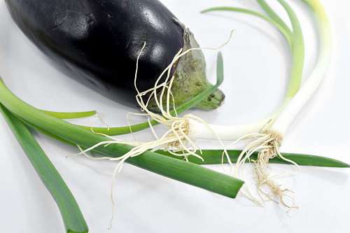 leek antibacterial chives eggplant antioxidant flora vegetable ingredients leaf